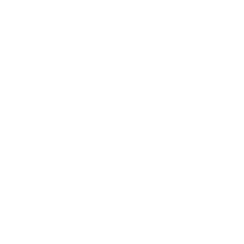 Hg