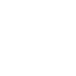 Leonardo